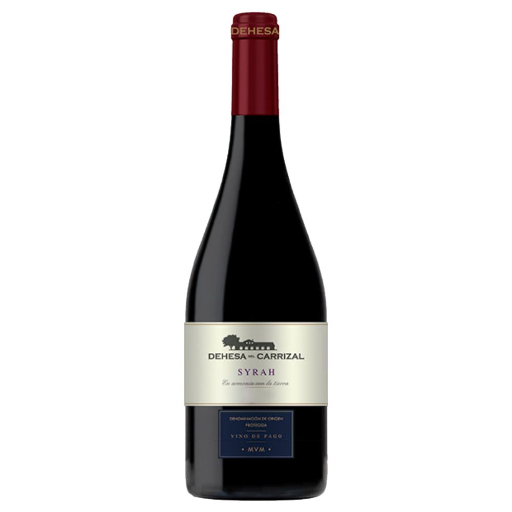 458417 Dehesa del Carrizal Syrah Wein Spanien