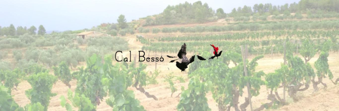 Celler Cal Besso